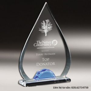 Kỷ niệm chương pha lê vinh danh