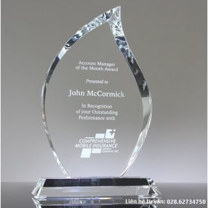 Kỷ niệm chương khen thưởng quản lý xuất sắc