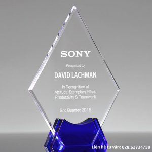 Kỷ niệm chương khen thưởng nhân viên