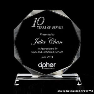Kỷ niệm chương vinh danh 10 năm gắn bó