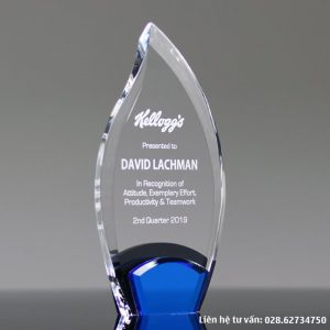 Kỷ niệm chương khen thưởng