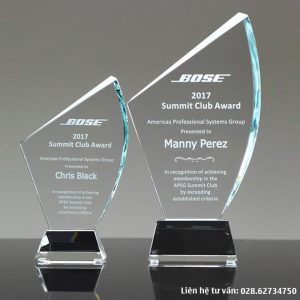 Kỷ niệm chương khen thưởng tri ân